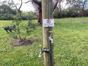 Water taps at Bimbi Park