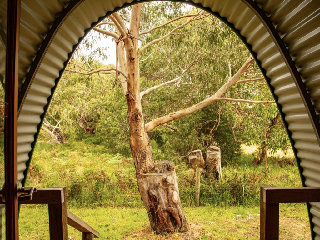 Camping Pod View of the otways