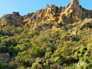 Castle Cove Rock Formations