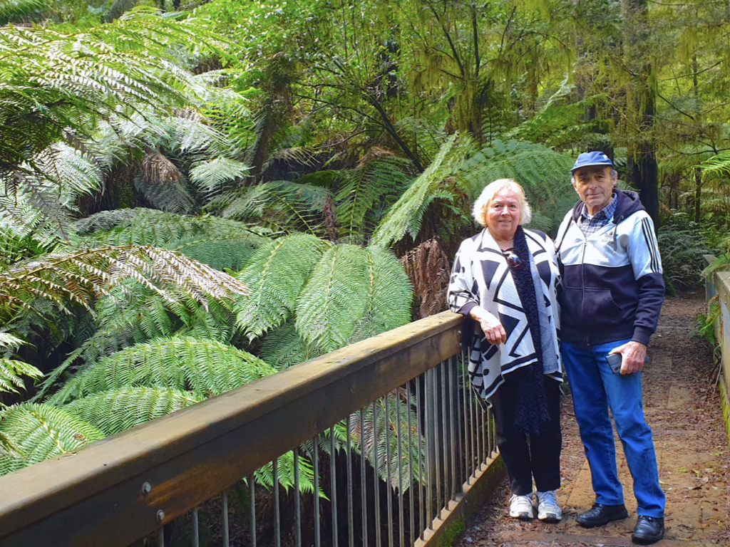 Melba Gully Walk