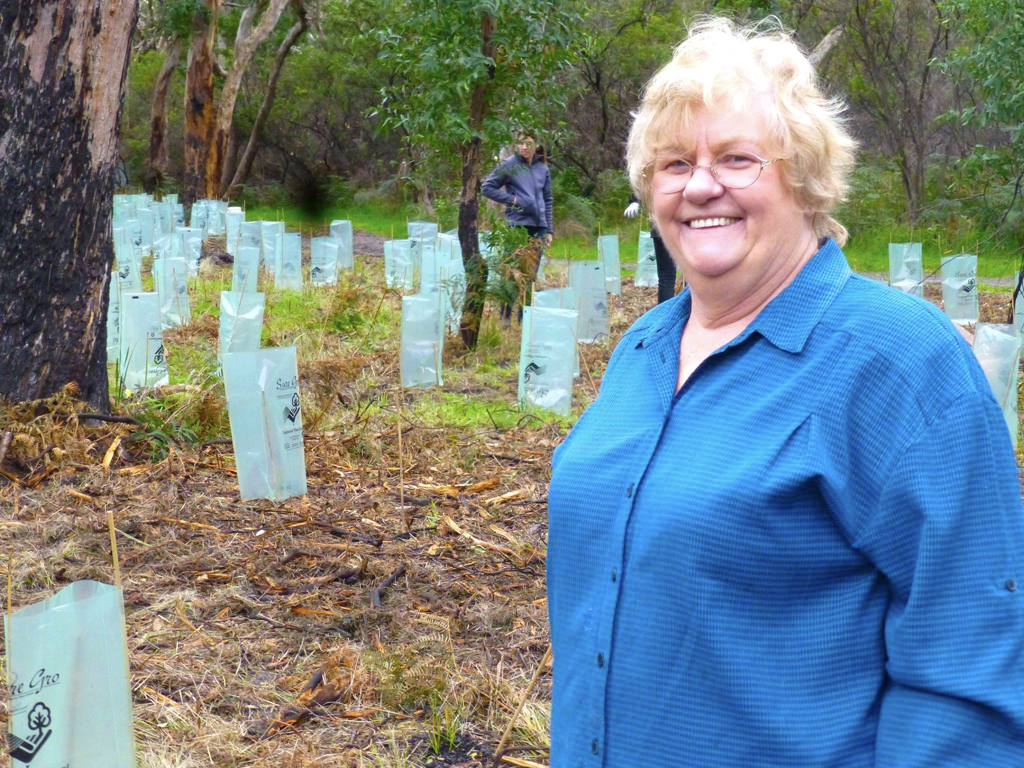 Tree Planting With Lyn - Reducing Environmental Impact