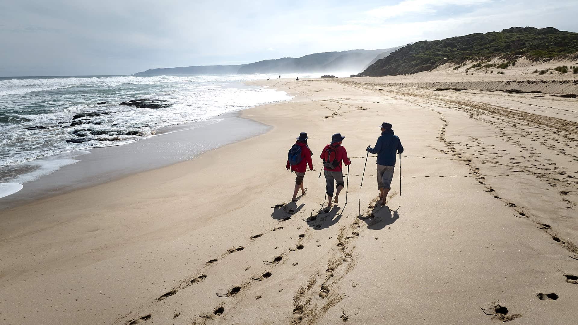 Walkers on the beach