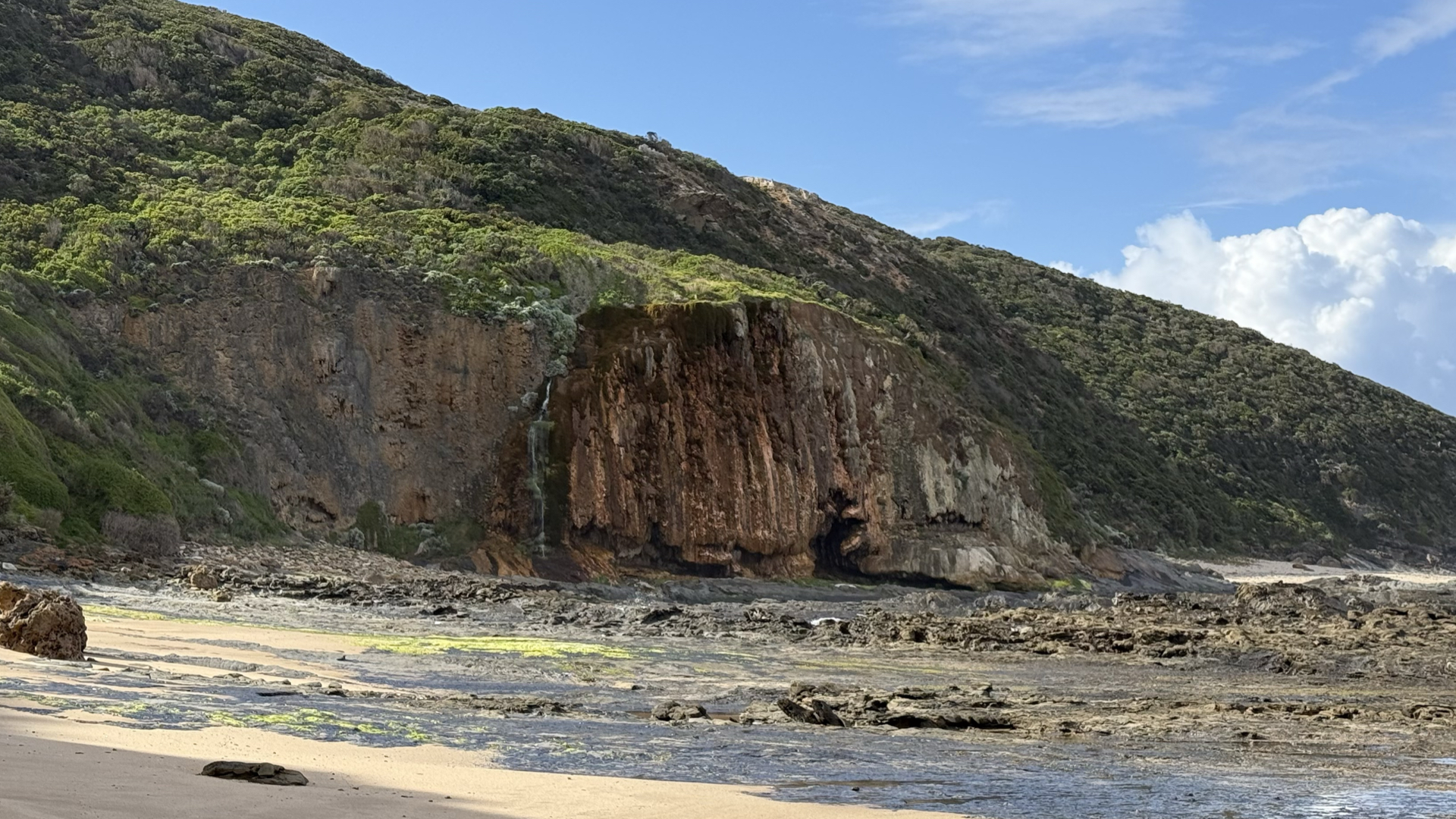 Cape Otway walks near Bimbi Park on the Great Ocean Walk