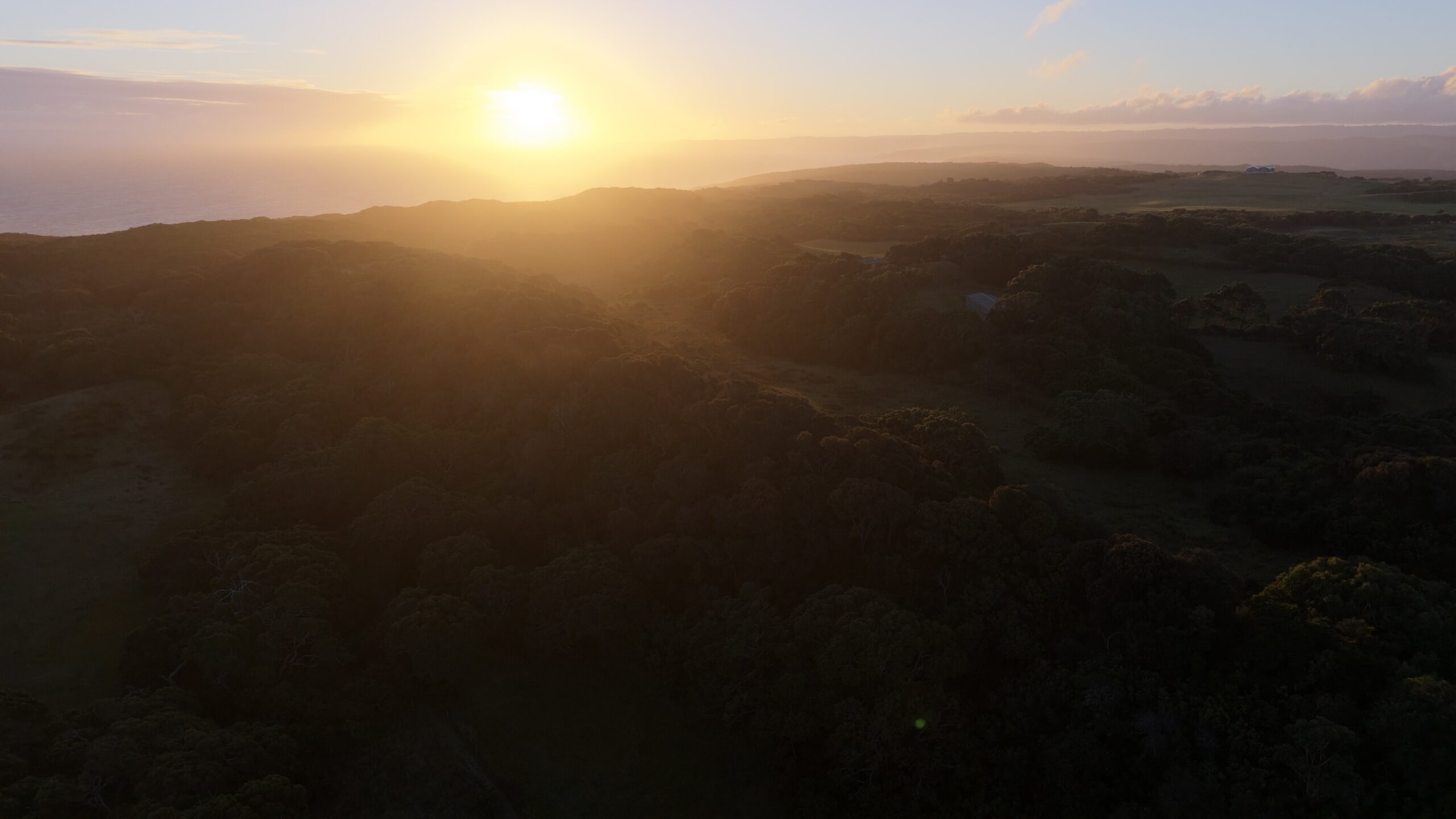 Cape Otway Walks